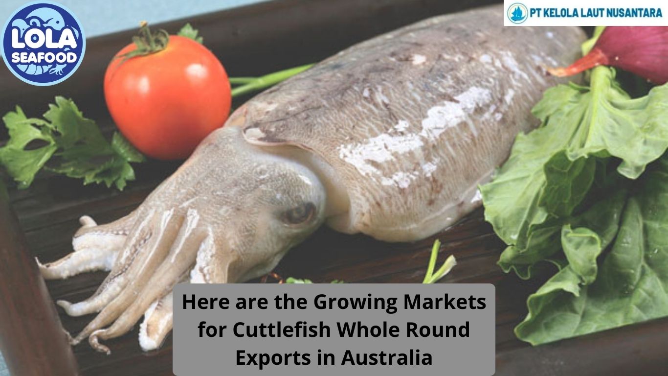 Here are the Growing Markets for Cuttlefish Whole Round Exports in Australia